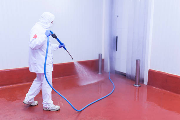 Best Restaurant Pressure Washing  in Bradley, IL